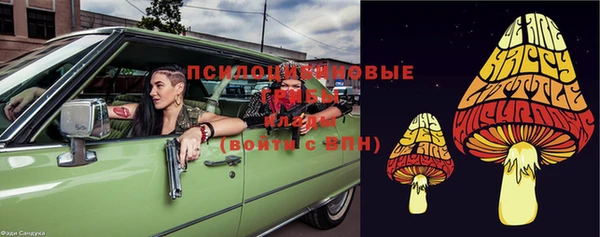 гашик Верхнеуральск