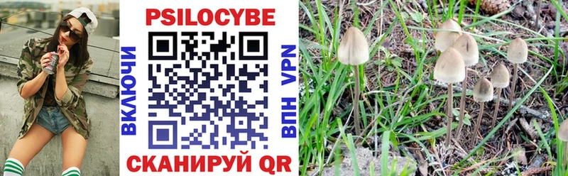 Купить закладки Балахна Галлюциногенные грибы прущие грибы